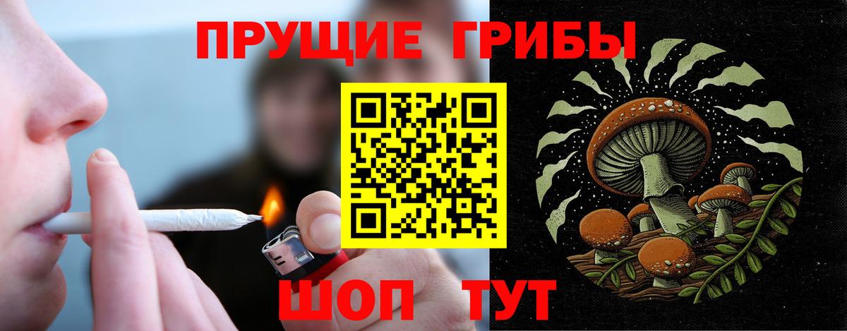 Курчалой  Псилоцибиновые грибы мухоморы  Вход с VPN 
