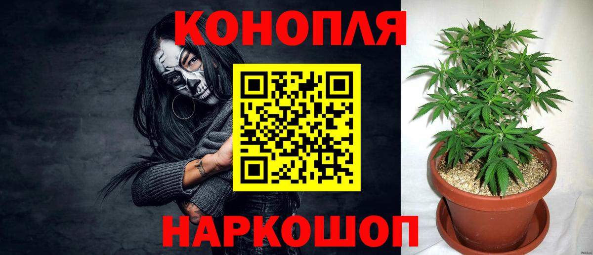 МАРИХУАНА семена  Шишки марихуана сатива  Вход с VPN  МАРИХУАНА SATIVA & INDICA  Курчалой  Бошки Шишки VHQ 